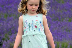 In-the-Lavender-Fields-