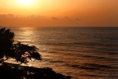 Tranquility-