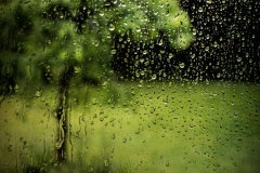 Welcome-Rain