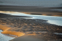 04-Sand-Shapes-in-the-River-Bed-4-21