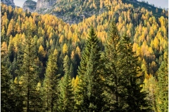 04-Autumn-Colours-25