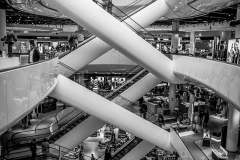 Kingswood-Silver-Salver-Escalators-Steve-Stone