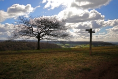 04-Countryside-Veiw