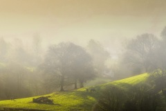 07-Fog-in-the-vally-