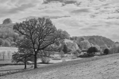 60-Mill-Farm