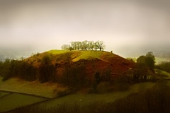 The Spot on Pox Hill