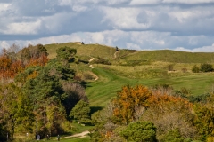 The-path-to-the-top