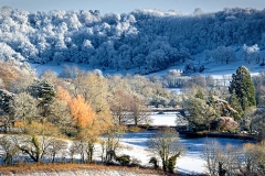 04-Signs-of-Winter_Christine-Ryske