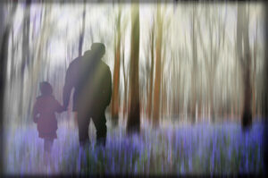 Div 1-3rd- Walking in the bluebell woods- Jenny Fryer LRPS