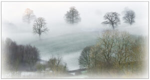 Div 1 -C-Winter Frost & Mist-Brian Wetton