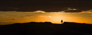 Div 2-HC-Walking out of the dawn - Diana Baker