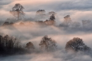 1st-Trees in the Mist-George Ryske