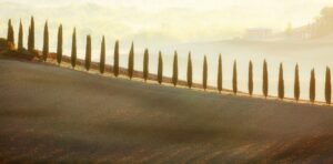 20 Points -A Tuscan Sunrise-Elizabeth Restall ARPS