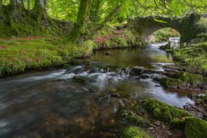 HC - Robber's Bridge, Exmoor-Elizabeth Restall ARPS
