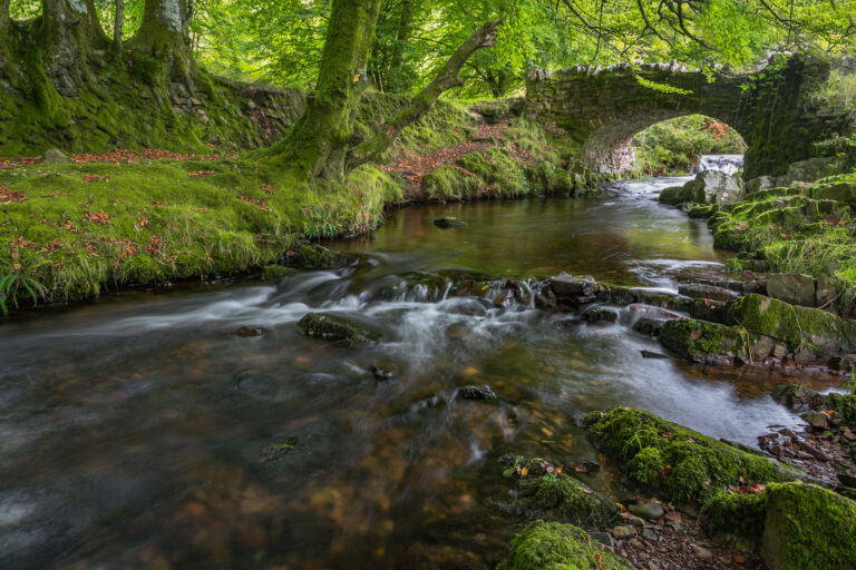 HC - Robber's Bridge, Exmoor-Elizabeth Restall ARPS