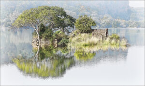 16 Points-Ranthambore Reflections-Brian Wetton