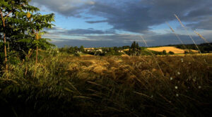 Div 2-C- Storm clouds brewing-Elizabeth Oakley