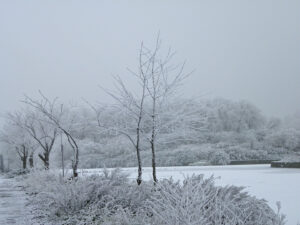 Div 2-HC- Frosty walk-Lucretia Bowen