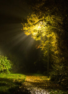 Div 2- HC- Misty lamplight -Diana Baker