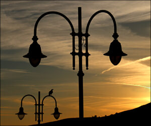 Div 1-HC- Dawn light-Edwin Nuttall