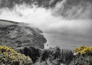 Div 2-HC- Sea Mist--Steve Daniell