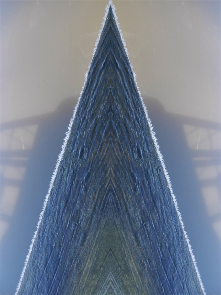 Div-2-HC-Upon-Reflection-Sam-Yeomans