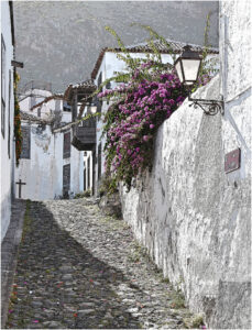 1ST -20 Points -Colourful Camino- Tenerife-Brian Wetton