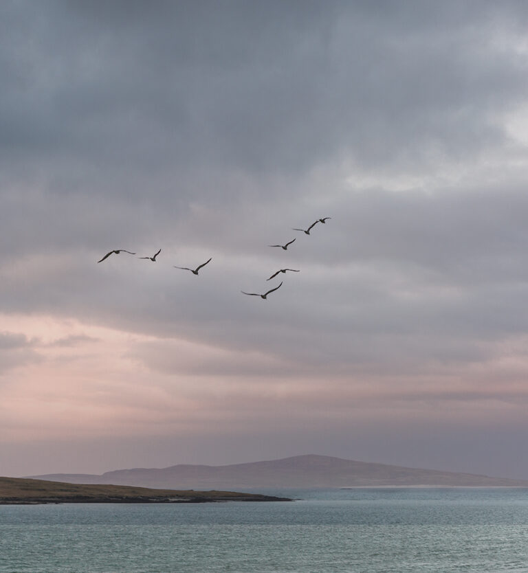 3rd Flying West -Elizabeth Restall ARPS