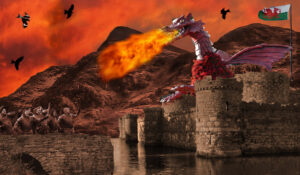 Div 1- C - Never mess with the Welsh -Barbara Gibbons