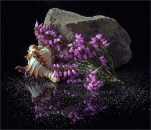 Div 1-HC -Rock Garden -Barbara Gibbons