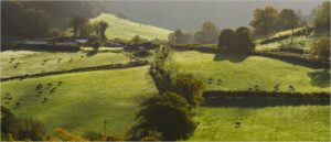 Joint 3rd - 18 Points- Greens and Graze-Steve Daniell