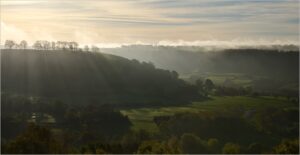 Misty Morning -Steve Daniell