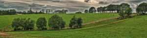 Potlickers Lane - Christine Ryske