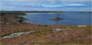 St Martin's, Isles of Scilly - Christine Wetton