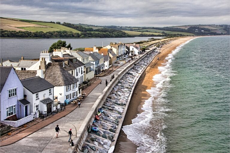 Torcross Devon - David Bishop