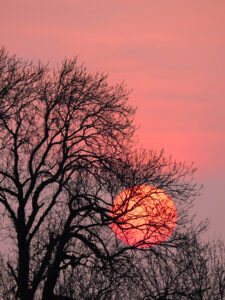 14 Points - Sunset- Bill Beere
