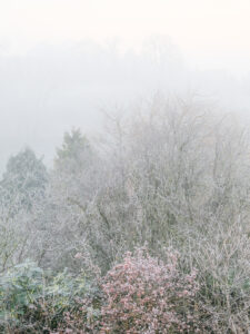 14 points - frosty morning-Bill Beere