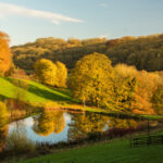 Div 1- 14 Points- Late Autumn afternoon- Diana Baker