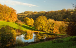 Div 1- 14 Points- Late Autumn afternoon- Diana Baker