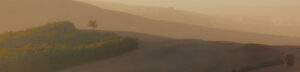 Div 1- 14 Points- Tuscan-Dawn - Elizabeth Restall -ARPS