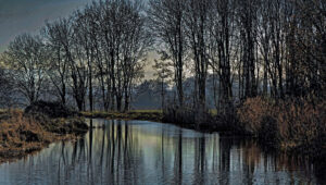 RIVER FROME AT WHITMINSTER - Christine Ryske