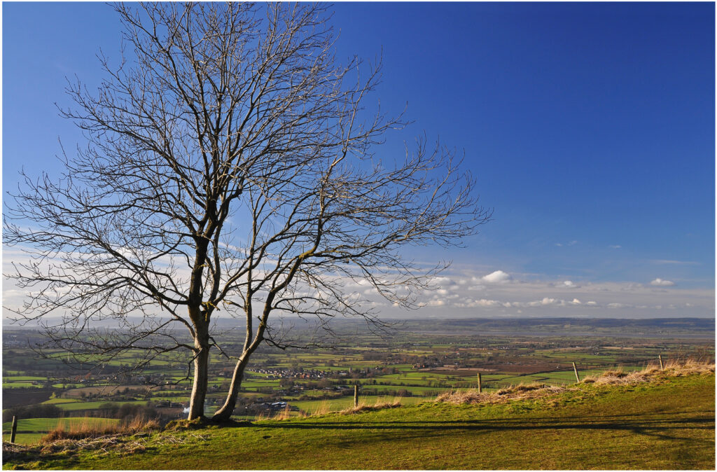 17 Points- Across the Severn Vale -Brian Wetton