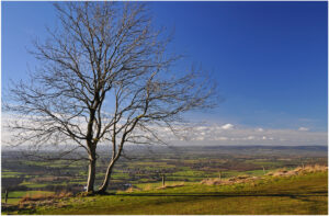 17 Points- Across the Severn Vale -Brian Wetton