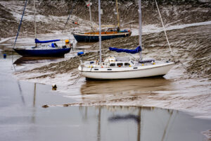 D1-17 Points - Stranded in the Mud-Elizabeth Restall ARPS