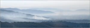 D1-2nd-20 Points- Early Morning Mists, Tuscany-Brian Wetton