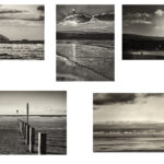 C- 18 points-Landfall (One Day One Beach) -6 - Peter Whitfield