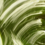 C- 18 points-Trees -2 - Claire Haine