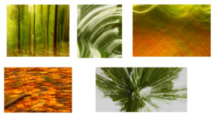 C- 18 points-Trees -6 - Claire Haine