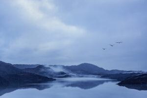 D1-18 Points - Mist-in-the-Blue-Hour-Elizabeth Restall ARPS