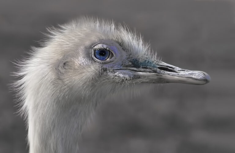 15 Points-One blue eye-Jenny Fryer LRPS